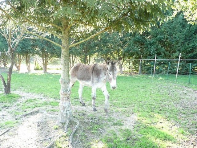 Balthazar et leonard Arrivee (4).jpg